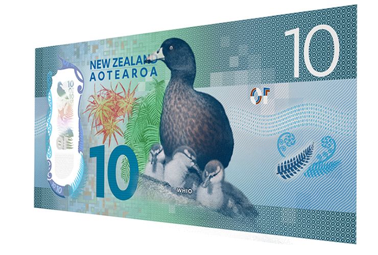 nzd analysis